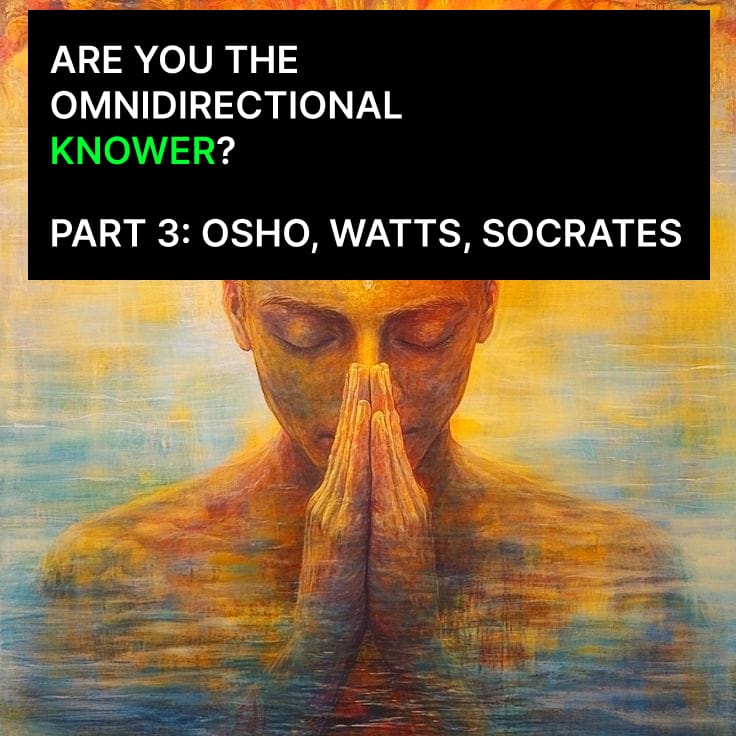 The Zen N! #59 - Are You The Omnidirectional Knower? Part III